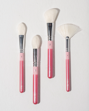 The Garden BEAUTY! – Kit de Brochas Profesional